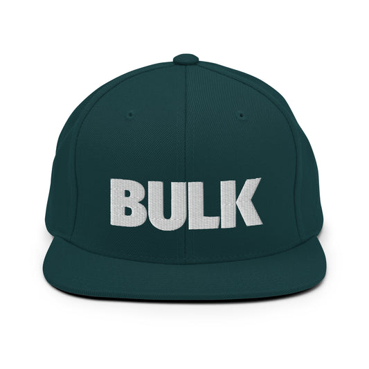 BULK Snapback Hat